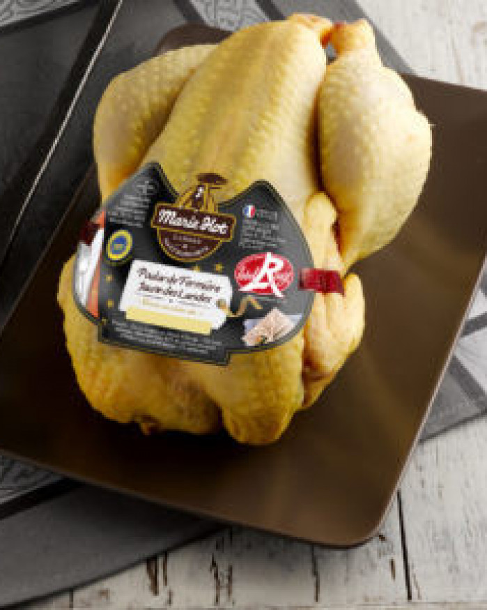 Poularde fermière Des Landes effilée