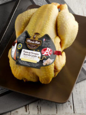 Poularde fermière Des Landes effilée