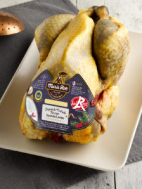 Chapon de pintade prêt à cuire