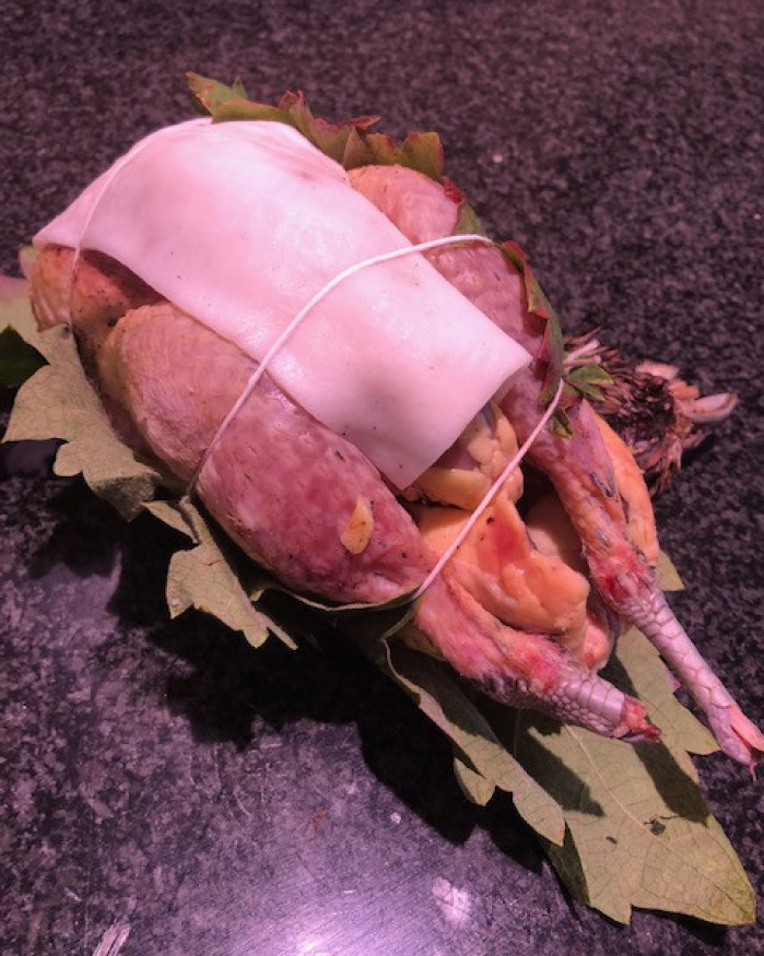 Poule faisane avec tete 